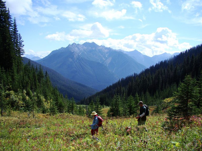 Online Tool Provides Resources on Land Stewardship