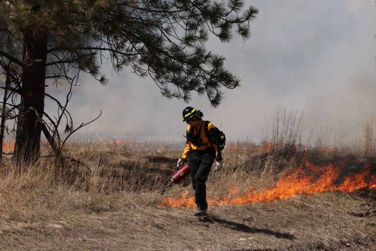 Prescribed burn happening in Kimberley