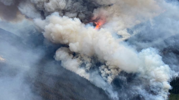 Doctor Creek wildfire grows to 5,852-hectares as new fire discovered ...