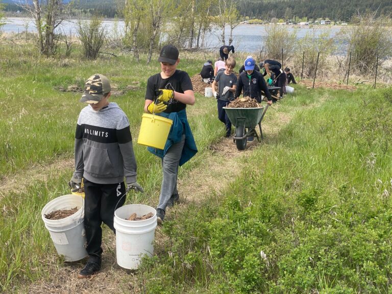 Local kids help conservation efforts near Elizabeth Lake