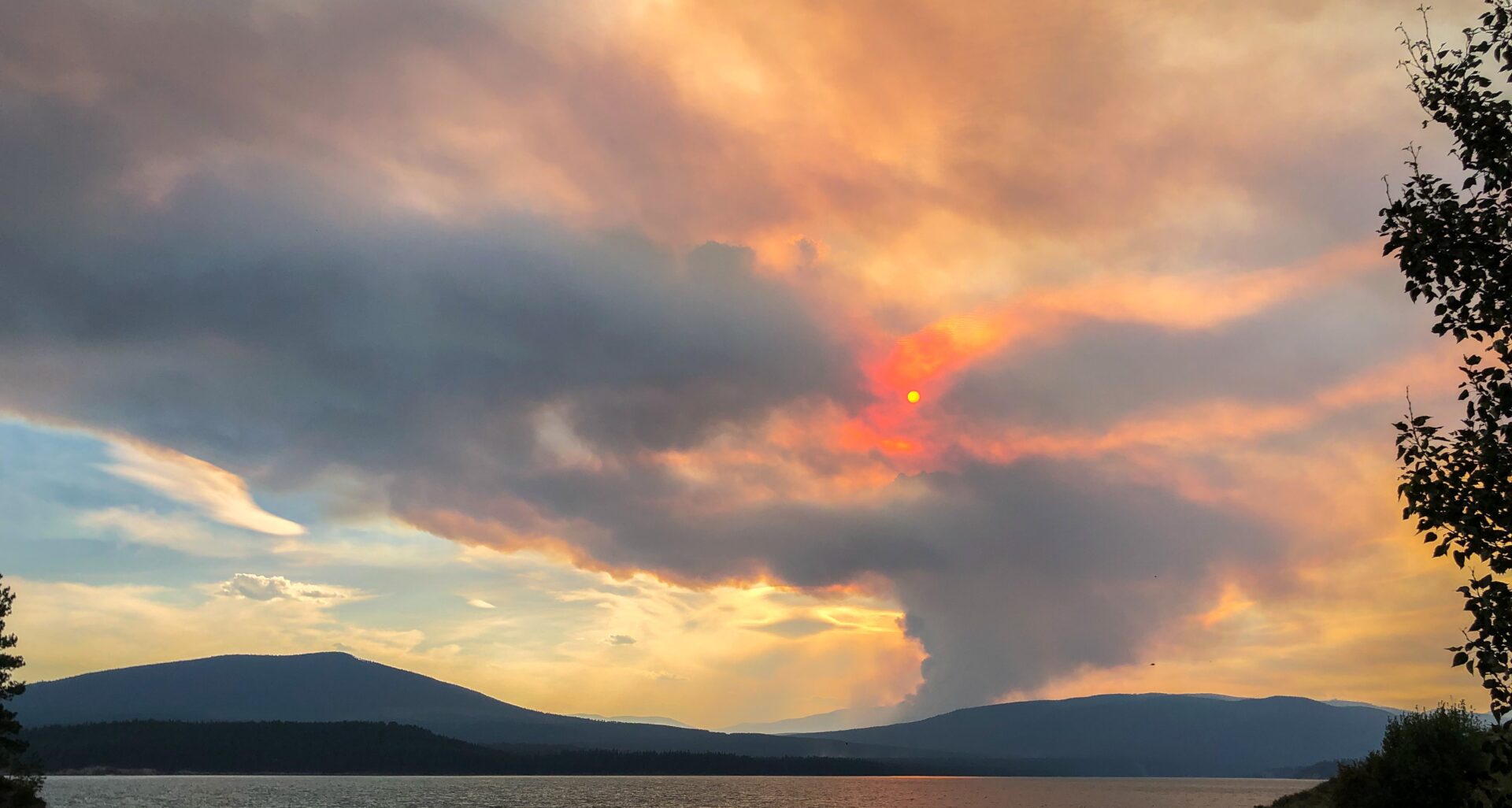 Connell Ridge Wildfire Evacuation Alert Lifted My East Kootenay Now