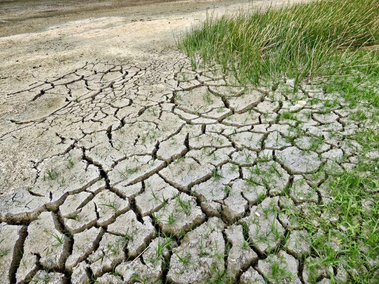 Upper Columbia sees drop in drought conditions