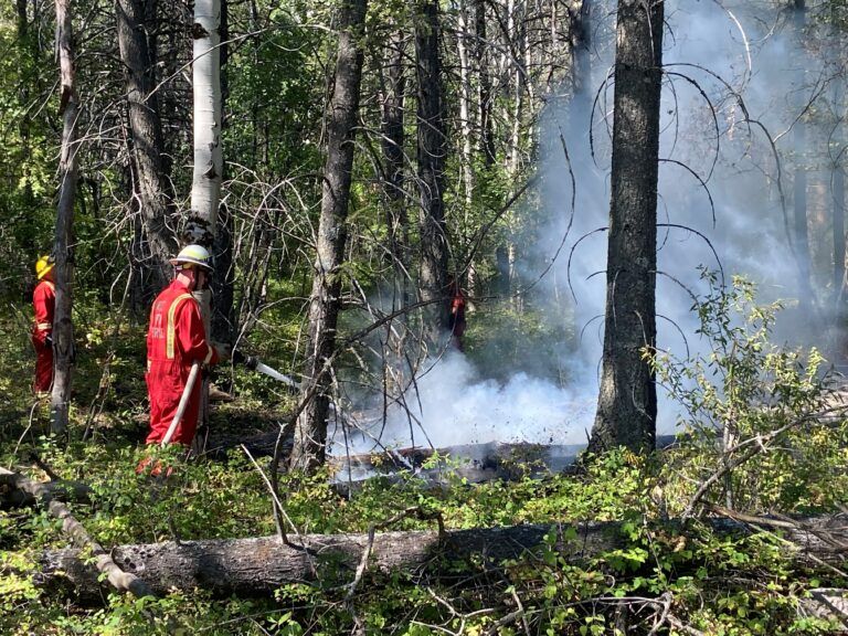 Firefighters respond to small blaze southeast of Cranbrook