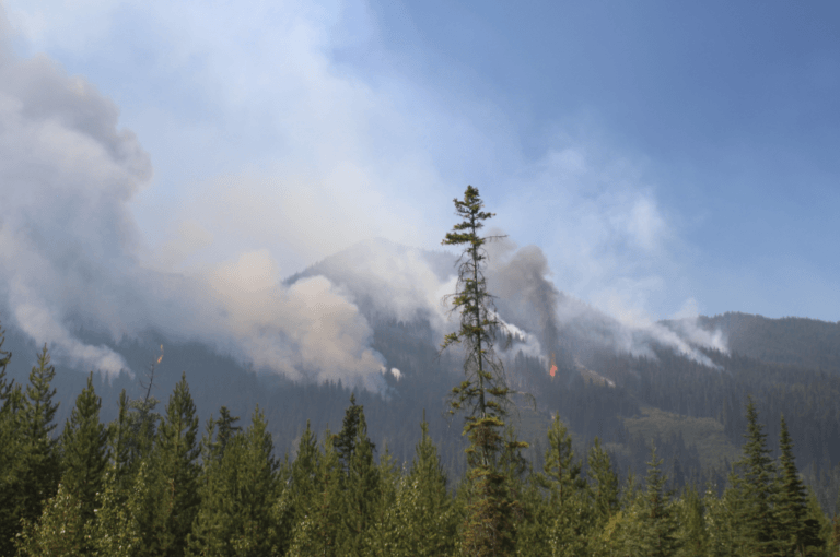 East Kootenay FireSmart hosting three May 4 events