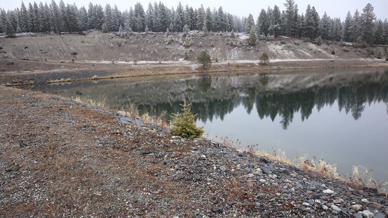 Cranbrook snowpack looking good