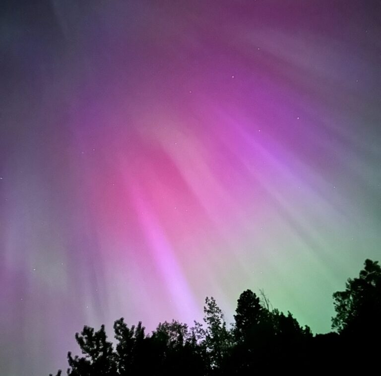 See the Northern Lights tonight