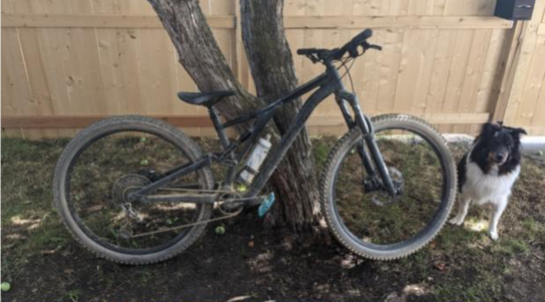 Cranbrook RCMP on the hunt for two stolen bikes