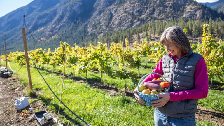 Farmers can apply to buy technologies through provincial program