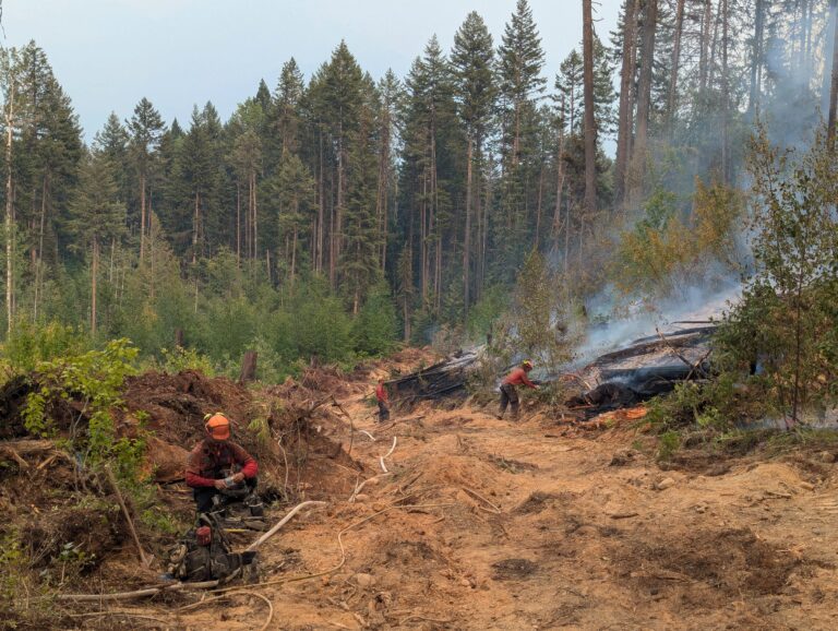 Wildfire season still carries some risks despite fire activity easing across the southeast