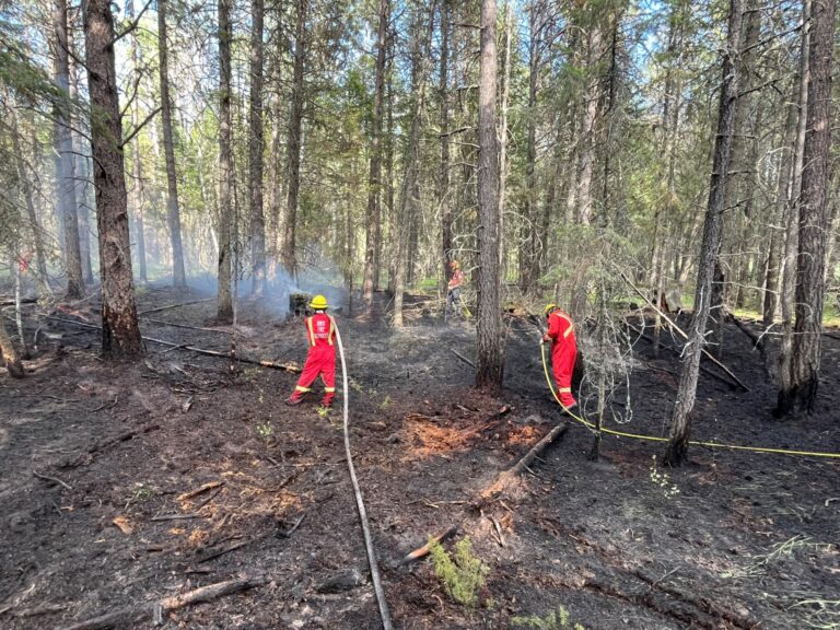 Wildfire near Jaffray under control