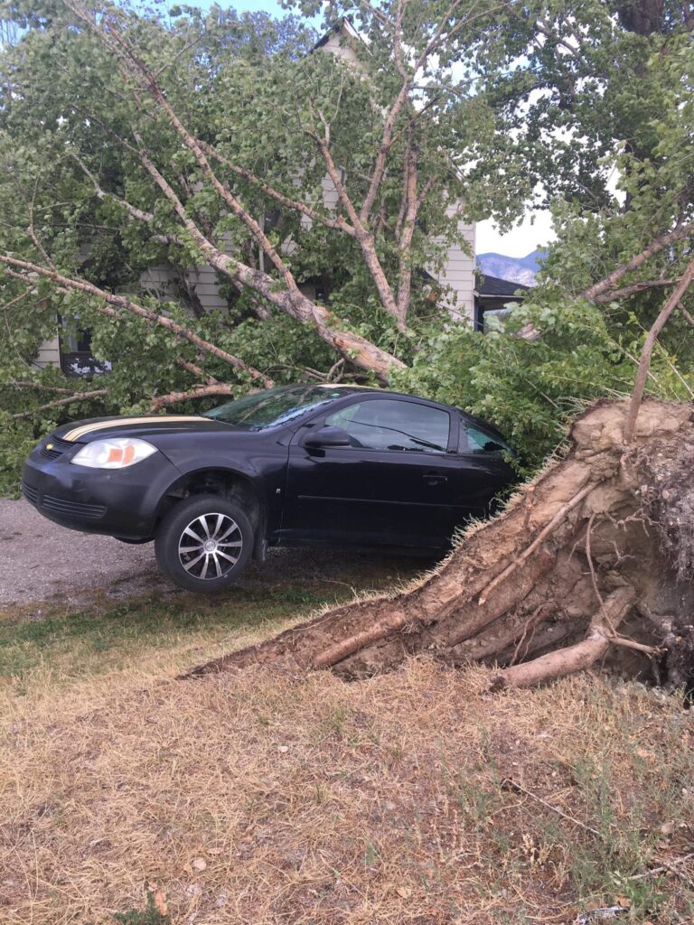 Submissions closed for storm damage reports