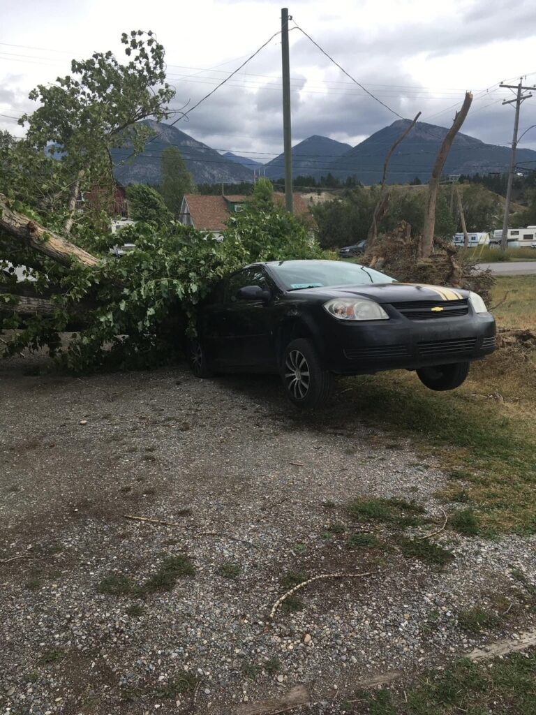 RDEK recruits Recovery Manager to help residents following windstorm