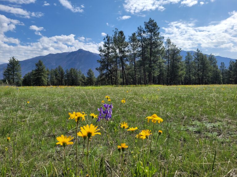 Nature Trust of BC hails biggest-ever fundraising year