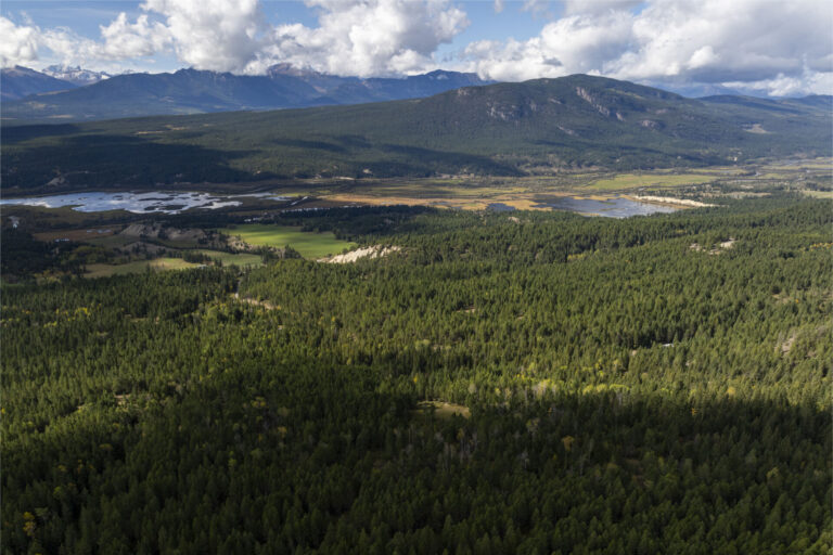 Former Christmas tree farm purchased for conservation