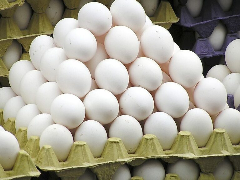 Egg brands recalled due to possible salmonella